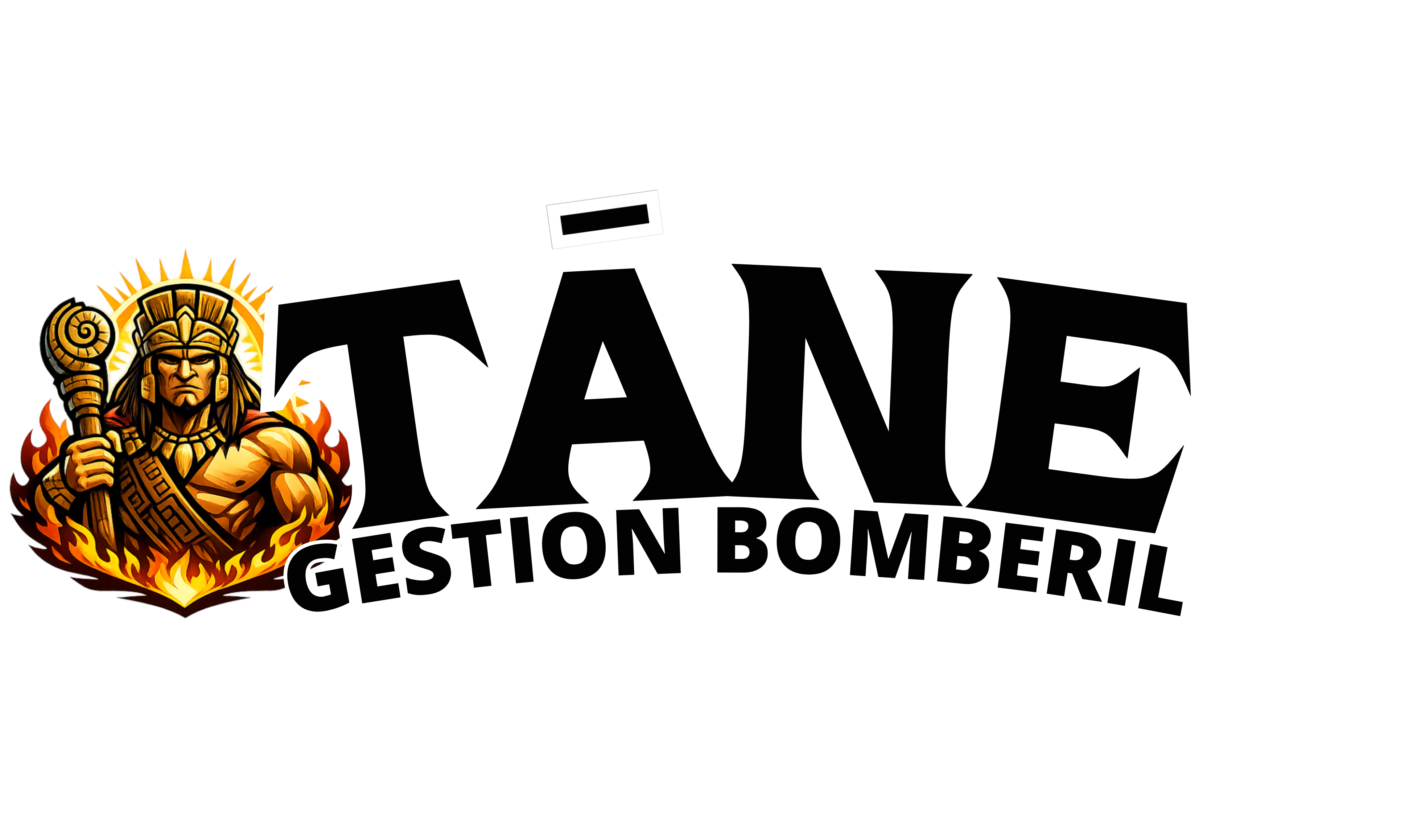 TANE Gestión Bomberil
